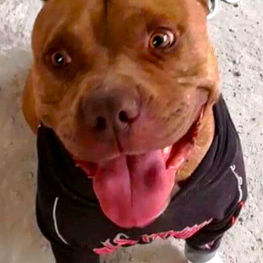 D 71806525 b4ed 4536 8970 bd3d8a2ce0d2