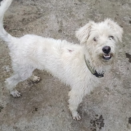 D 184c0768 1f11 4c19 ba29 6d7bf07e7670