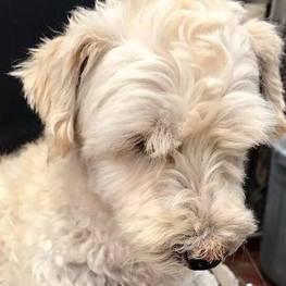 D 62bd2d05 41ba 4e99 969b 5f10dc64e5fc