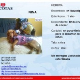 D 56643380 b9dc 4071 b167 e651003f85fb