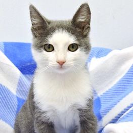 D e5eef184 3893 4036 8a9a 37b0d78cc216