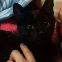 D 0c169940 9370 4caa 9d43 014fe1ad1557