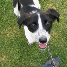 D 5481f56c 552a 4df5 bdcc d6421ae163df