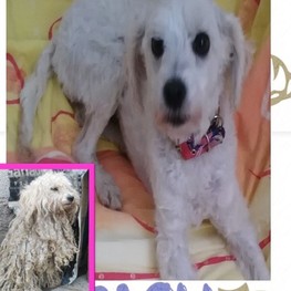 D 0825c741 b563 46fc b3ac 9de67fd43744