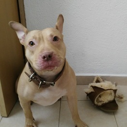 D e2732ea4 20d2 4a28 aaba 5dc38e6e846c