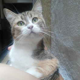 D 6b069f92 620a 40f1 8a67 931ea46a33bb