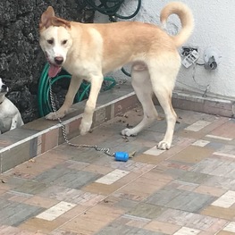 D 25d4af75 cf81 445e a221 a2bfa22ed8e1