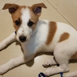 D 201f19e7 f209 4cce b014 440880bd6291