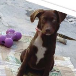 D 79d232df ccc5 47ce 9be6 af5bca948122