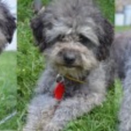 D 8fc07cbf f5dc 40a8 9a2c 645e7c9f6227