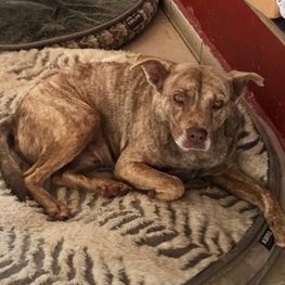 D 3417e67e 94d0 4f82 9db2 38609afd1458