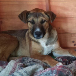 D d2bdfc00 4116 4c5d ae26 02d015aed3ad