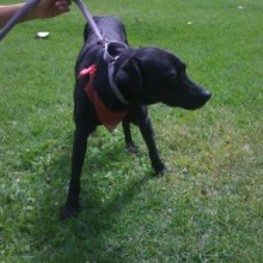 D f20e403a 0378 4baf ba30 42a702d75fd0