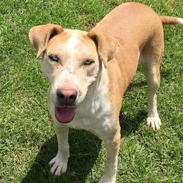 D e58f76a7 c1c7 4128 a381 25092cda2489