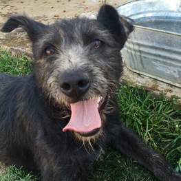 D 27ea4c86 aa1a 4773 8c5a 219dde3fe645