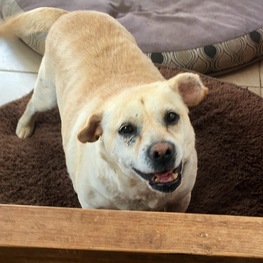 D 125e8a6b eddf 415c ab53 e6a305817e2e