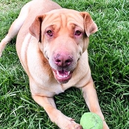 D e24841d9 5ed4 43e7 870b 17c0dde595ca