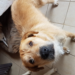 D d8ed46f4 4e0f 4836 b856 f9937dcaee83