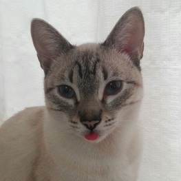 D 62999217 2856 496f a1e8 b0f808415b22