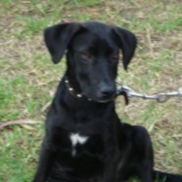 D ac0accb2 a199 4d5c b0da d020e951462c