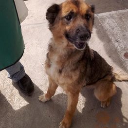 D 5f4bf777 4cb2 4fc6 a81a fec95ac19824