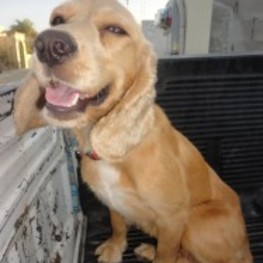 D e3f229df a610 4429 b6a4 20d7bda3e5ed