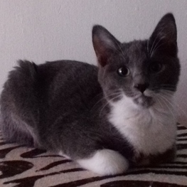 D f6460ce6 ea7b 405e bd11 f0108152e61c