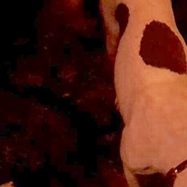 D c731cf25 d804 4c9b 90ef 19a17cd98dbd