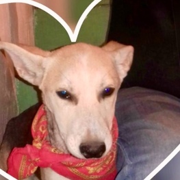 D 095dd906 7e04 4307 b047 205cc08fab3e