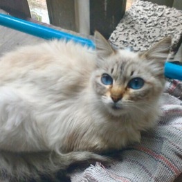 D 14ddeac1 0640 413c ac50 2ca28b712891