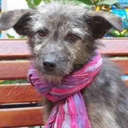 D 181a7b8c debb 4ab2 9e8f 77e258eef735