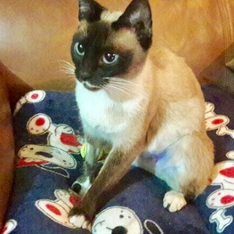 D bc426400 bcf1 4ee2 8303 ca1296ff33e1