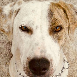 D 7b1c037e 2c0b 473e 9dea b78d2881e559