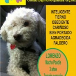 D e11610ae 9a3f 4d64 91af b20719f4a2f9