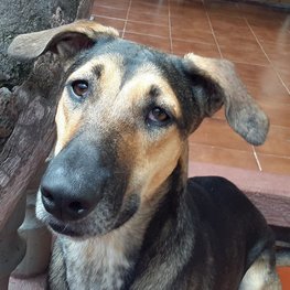 D d918d7ec ed80 41b9 85f4 700ea64e59b5