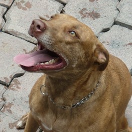 D eb704b73 1260 46e5 b395 f4e31404b9ea