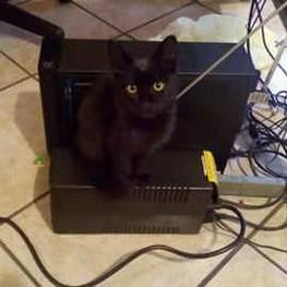 D c4bcde4d b365 4f93 a2ed f69f30b2d258