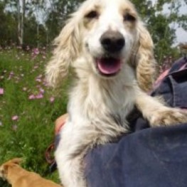 D 042b8a81 da57 46fa 93ca ec7102acad10