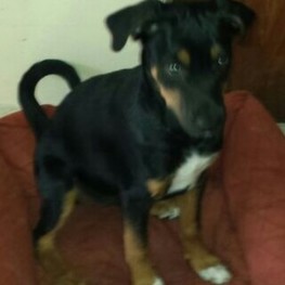 D f669a8ad 8249 42b8 8561 5bb467f81149