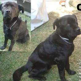 D 667bb3f0 3615 4085 9412 0c4a64abb915