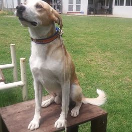 D ae1f0eb1 023a 4b92 9778 7e50b74ac7f7