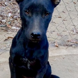 D e10040ef 90eb 492c bc6d b846fd6daf56