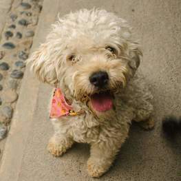 D 34c93f65 59c8 4b4d a511 c6dff532975a