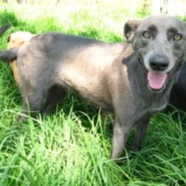 D 6511a9e2 4943 45b5 8c08 7544c96e380a