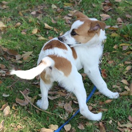 D 9795aaf3 7d2f 4c2d beab 465c392f3bad