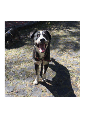 D 1334755d d712 4ae8 8bb6 047c1eca6df1