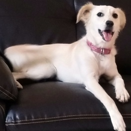 D 2f99900f d041 4880 a910 bf3684834358