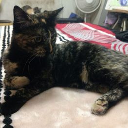 D a4e16fc2 8a6f 45a2 bdf6 346c4feb7993