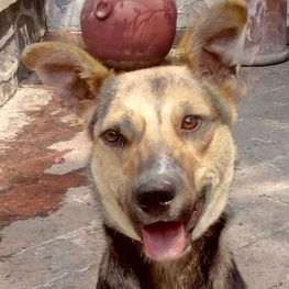 D 3a91f01d c1c9 428a 9c89 32059dd66ea1