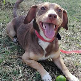 D 455b6f7c c2d3 42e6 b79b 5c69b556eaee